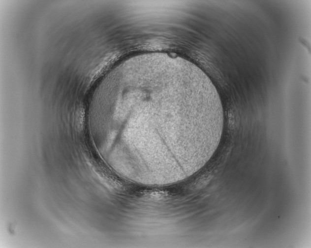 X0000102280304200808151934