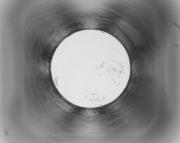 X0000102280305200808151934
