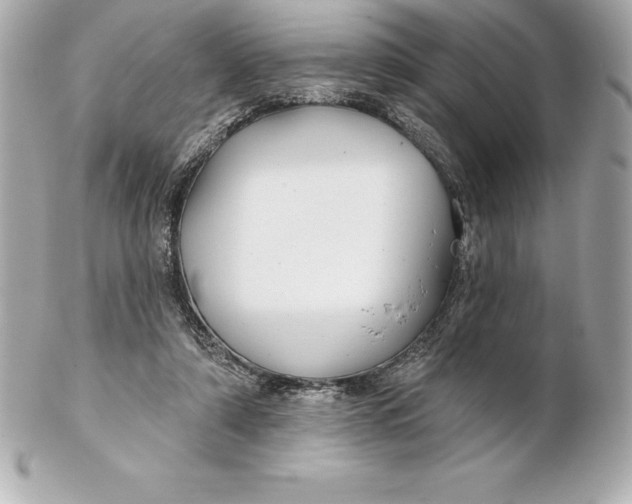 X0000102280306200808151934