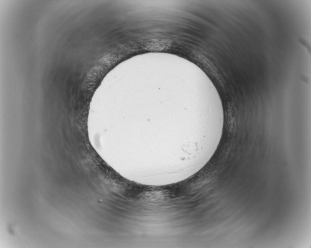 X0000102280307200808151934