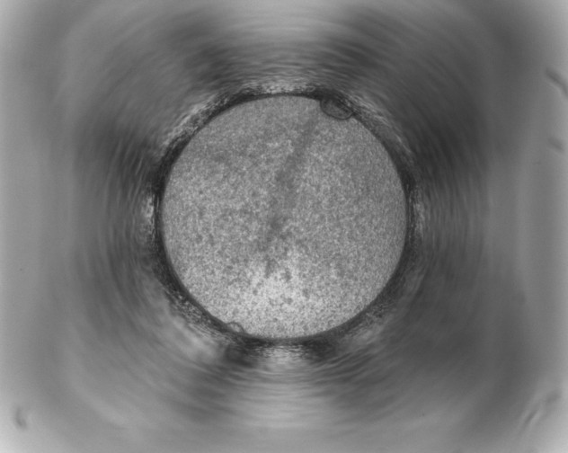 X0000102280308200808151934