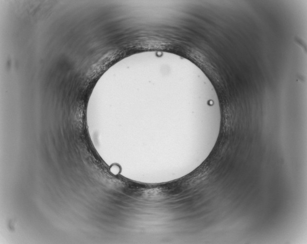 X0000102280309200808151934
