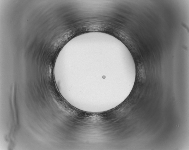 X0000102280310200808151934