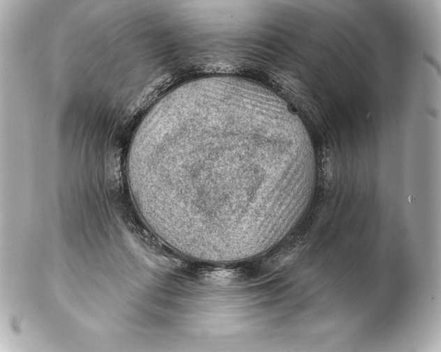 X0000102280312200808151934