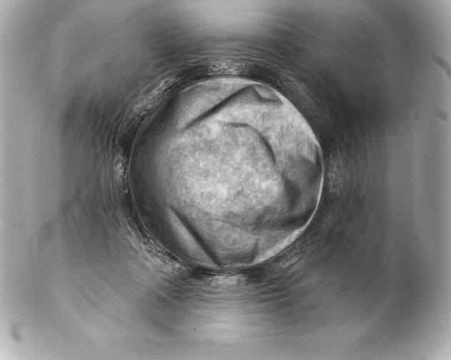 X0000102280314200808151934