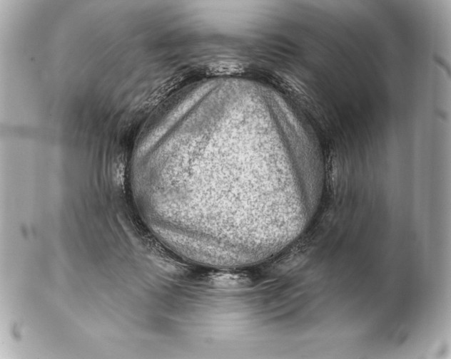 X0000102280315200808151934