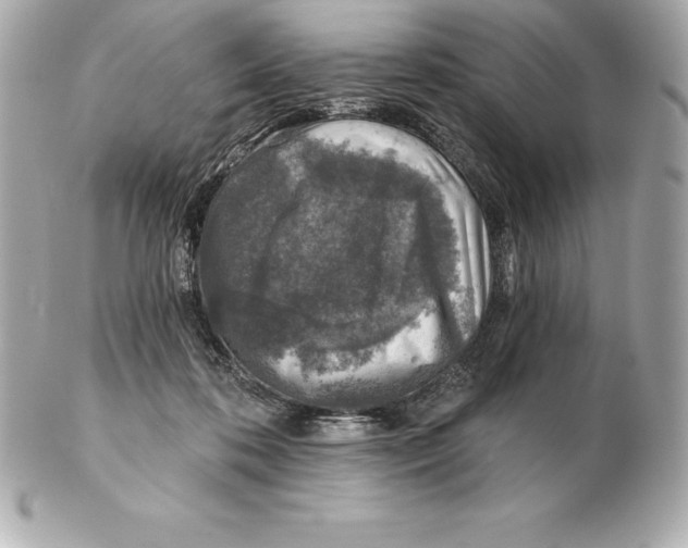 X0000102280316200808151934