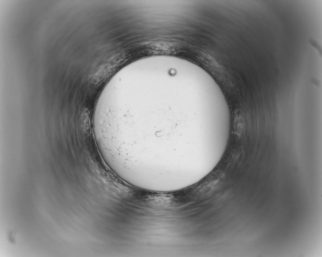 X0000102280318200808151934