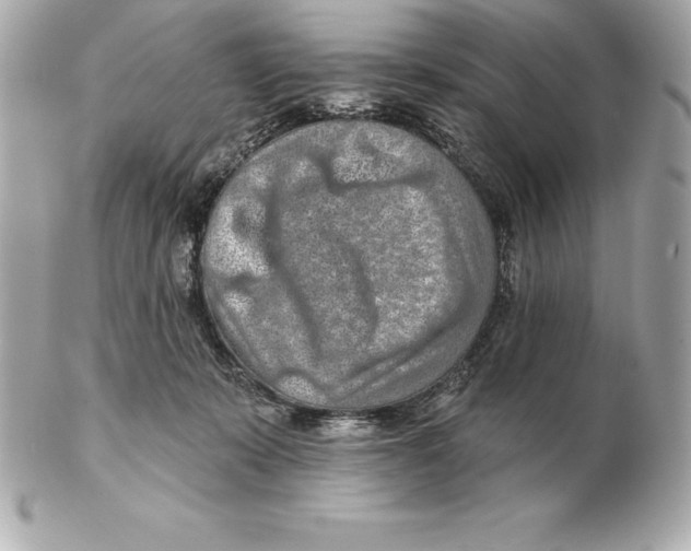 X0000102280319200808151934