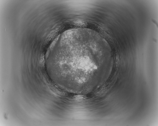 X0000102280320200808151934