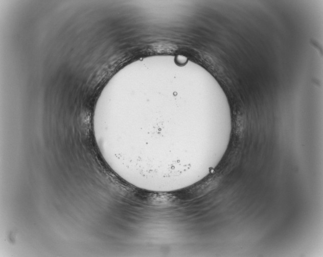 X0000102280321200808151934