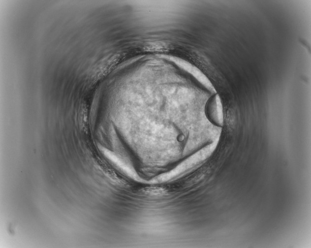 X0000102280322200808151934