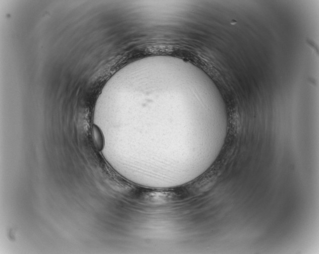 X0000102280323200808151934