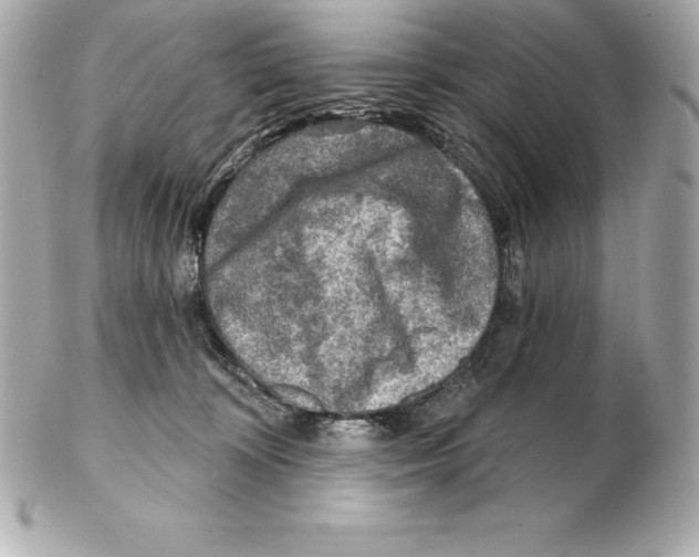 X0000102280324200808151934