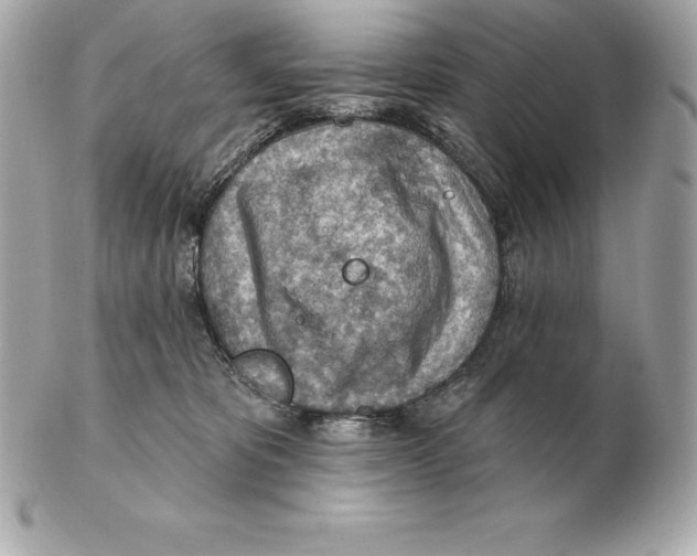 X0000102280325200808151934