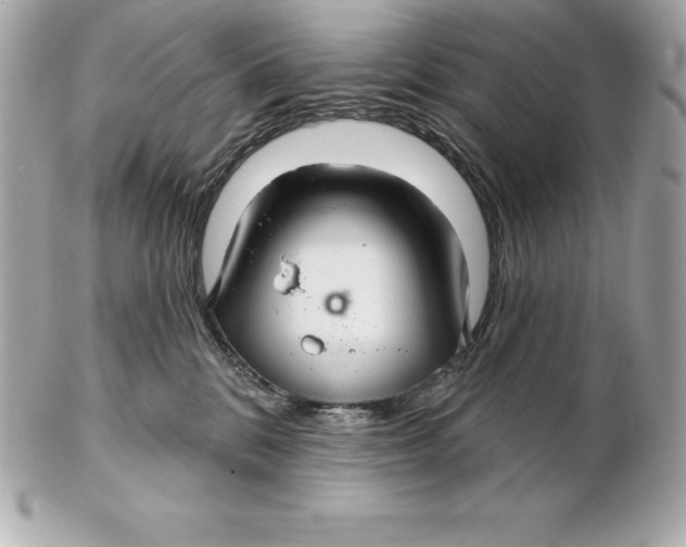 X0000102280328200808151934