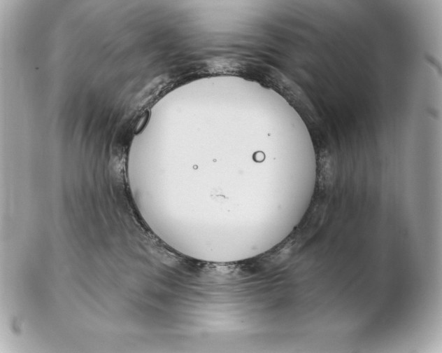 X0000102280329200808151934
