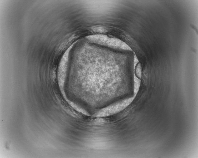 X0000102280330200808151934
