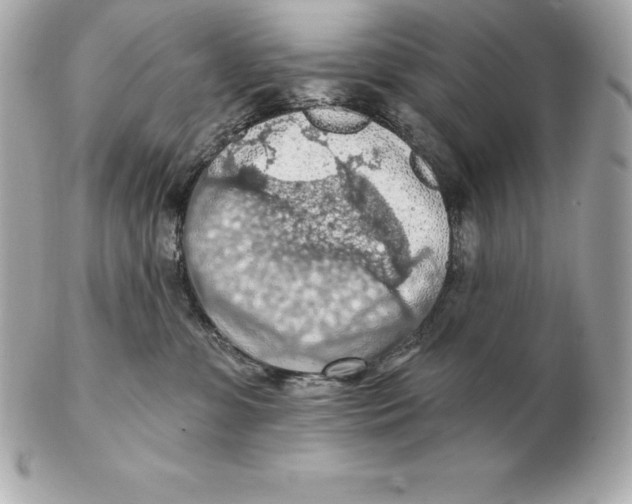 X0000102280331200808151934