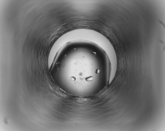 X0000102280332200808151934