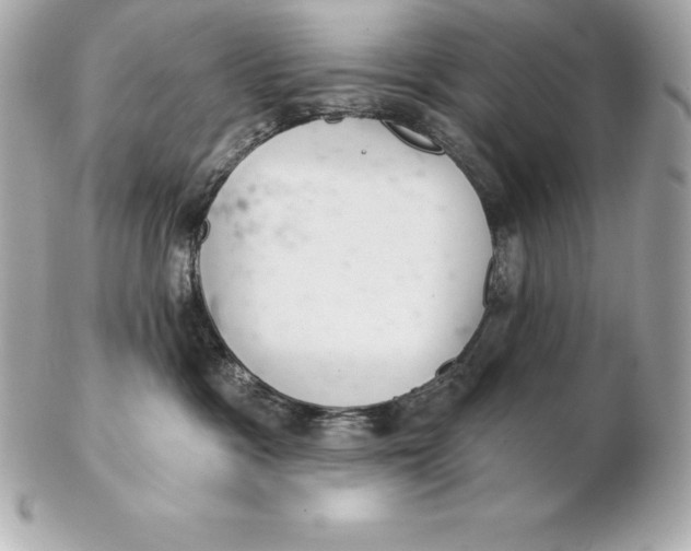X0000102280333200808151934