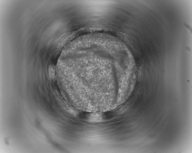 X0000102280335200808151934