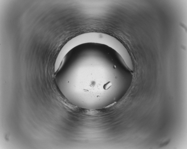 X0000102280336200808151934