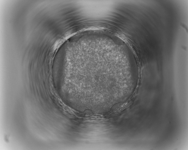 X0000102280337200808151933