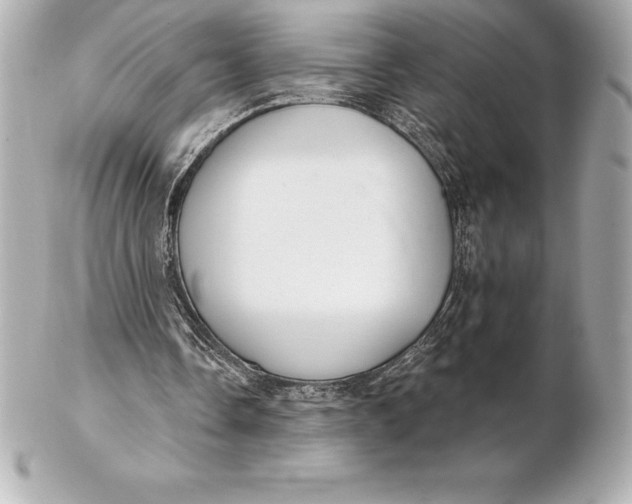 X0000102280338200808151933