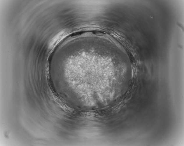 X0000102280339200808151933