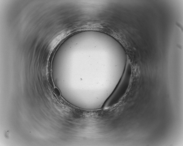 X0000102280340200808151933