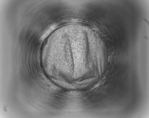 X0000102280341200808151933