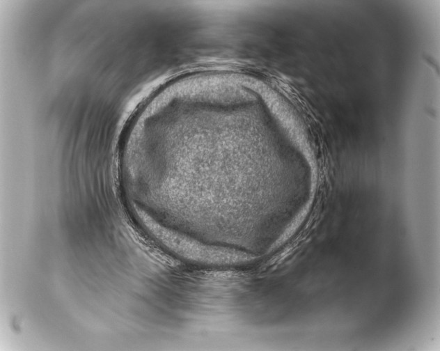 X0000102280342200808151933