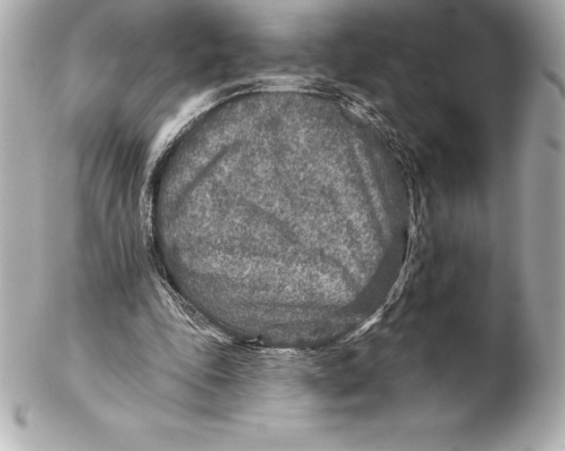 X0000102280343200808151933