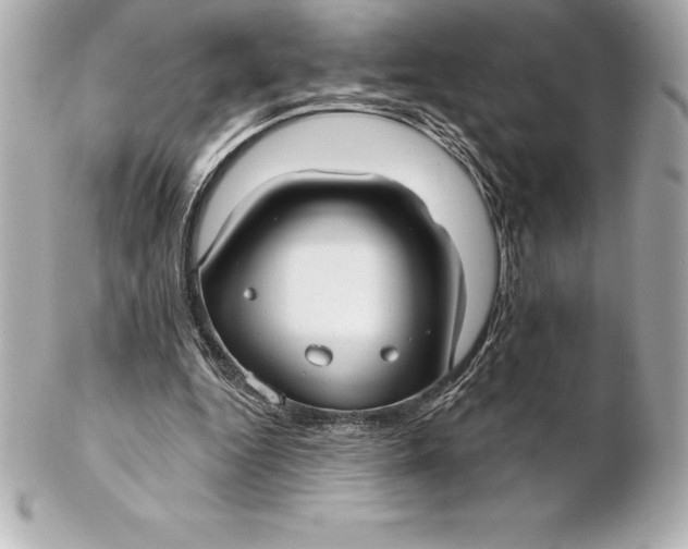 X0000102280344200808151933