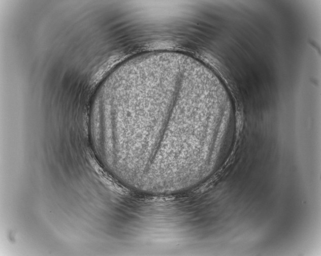 X0000102280345200808151933