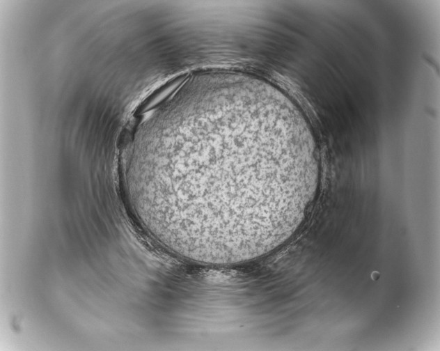 X0000102280346200808151933