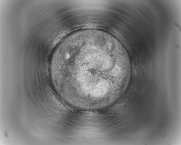 X0000102280347200808151933