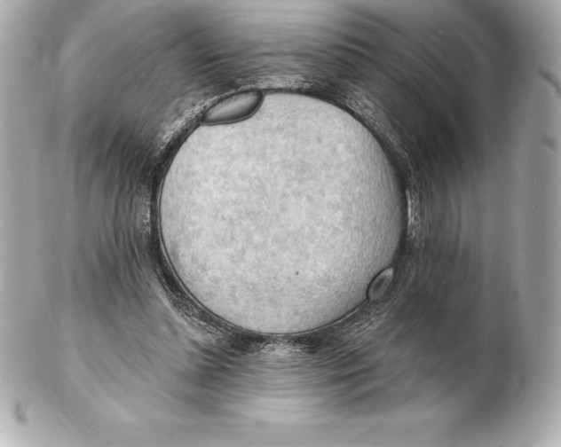 X0000102280348200808151933