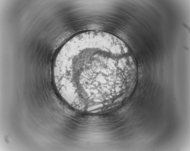 X0000102280349200808151933