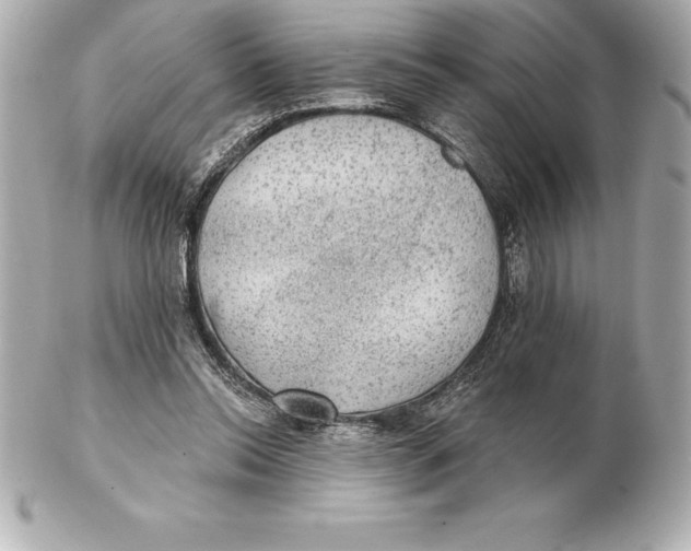 X0000102280350200808151933