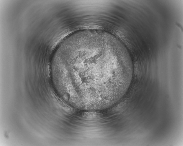 X0000102280351200808151933