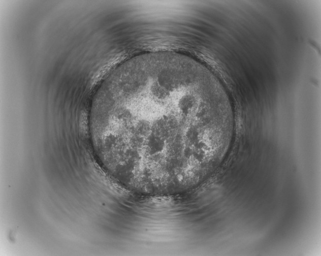 X0000102280353200808151933