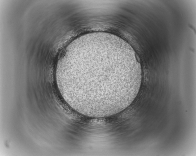 X0000102280354200808151933