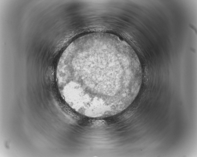 X0000102280355200808151933