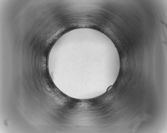 X0000102280356200808151933