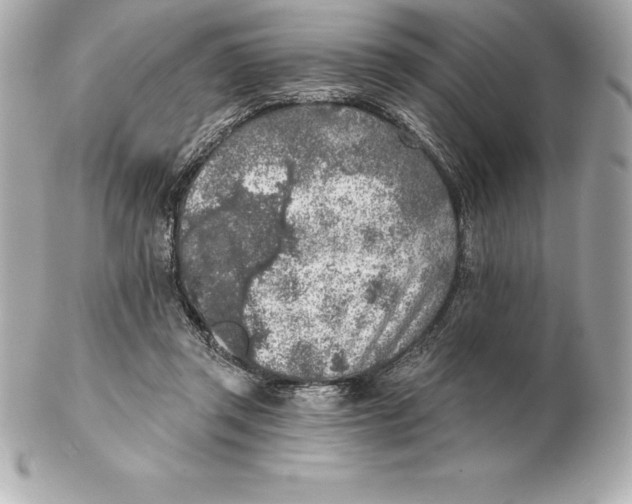 X0000102280357200808151933