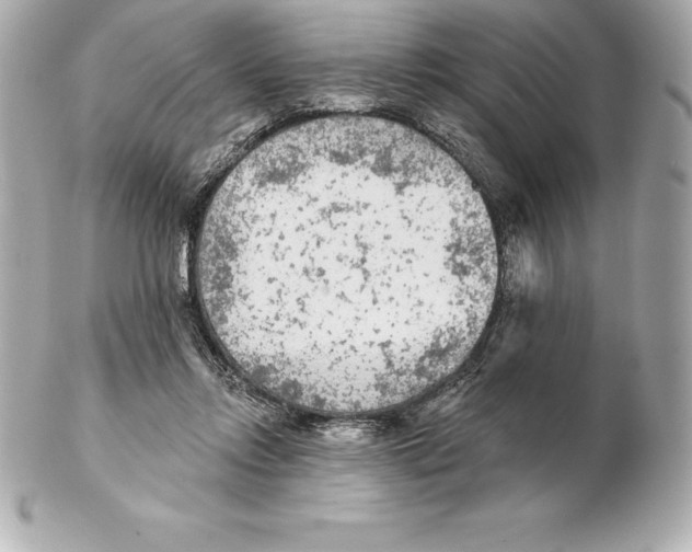X0000102280358200808151933