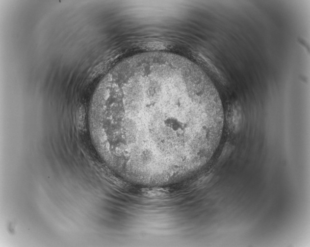 X0000102280359200808151933