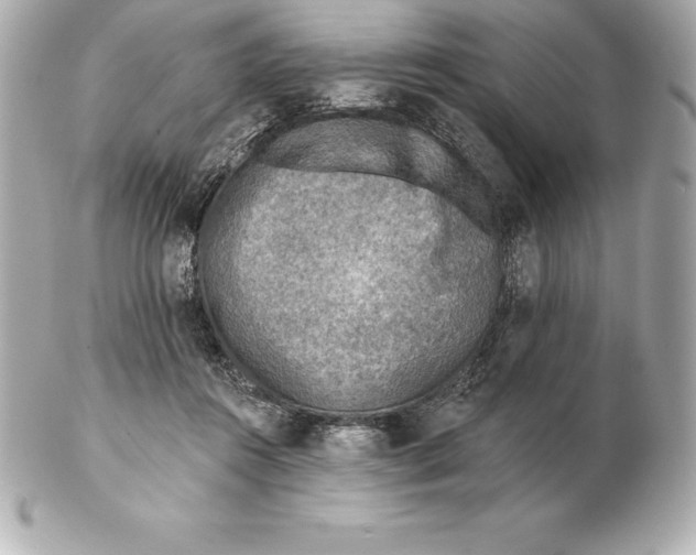 X0000102280360200808151933